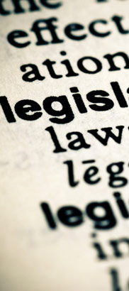 Definition of legislation within
the pages of a dictionary