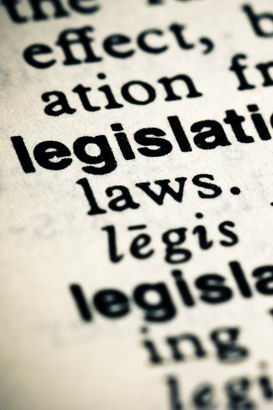 Legislation entry on the page
of a dictionary