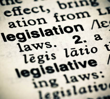 Legislation entry on the page
of a dictionary
