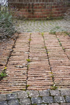 A school garden path