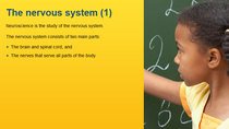 The nervous system